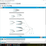 Ağ Bağlantısı Final Proje Ödevi